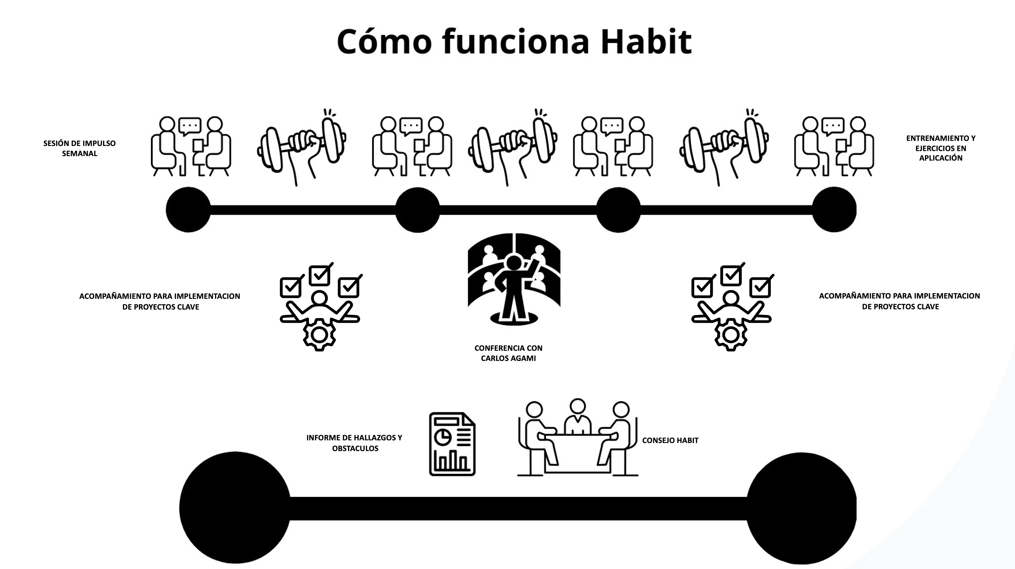 Resumen de cómo funciona Habit